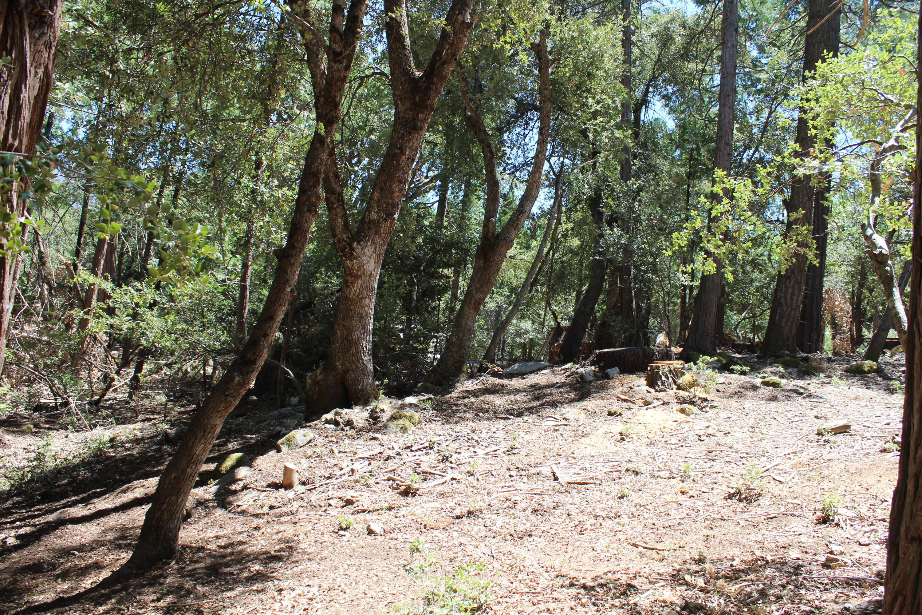565 Trail End Drive Springville, CA 93265 - Photo 52 of 58 IMG_9603