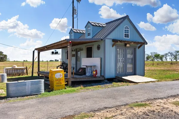 a view of a yard with plants and a large tree