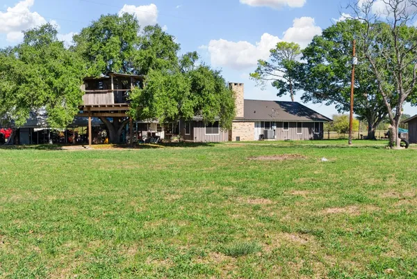 a view of a trees with a big yard