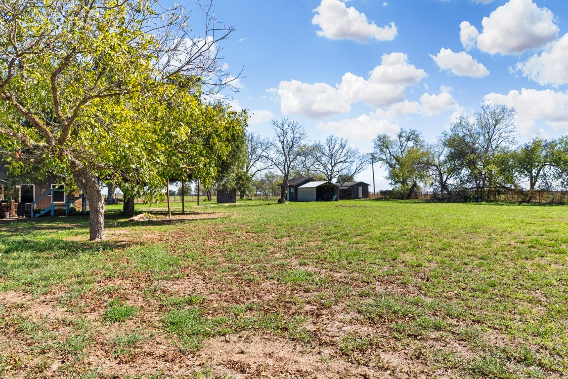3777 San Marcos Highway Luling, TX 78648 - Photo 28 of 37 a view of a trees with a big yard