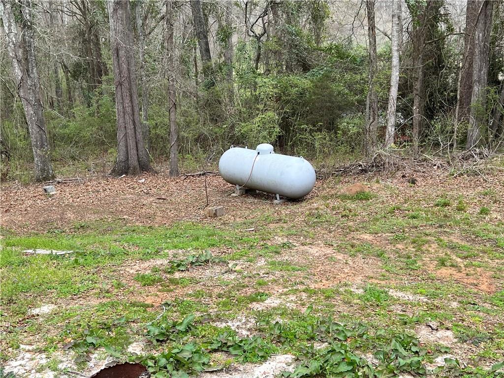 5536 Jackson Trail Road Hoschton, GA 30548 - Photo 40 of 41 a view of a backyard of a house