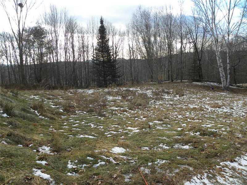 255 Darrington Road Hartford, ME 04220 - Photo 5 of 15 Yard/Garden.