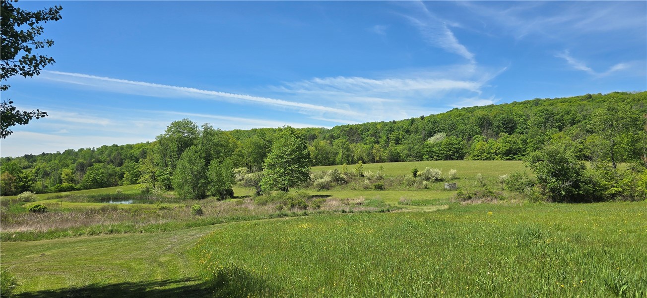 324 Murphy Hill Road Catlin, NY 14845 - Photo 3 of 47