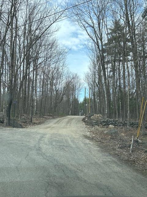 Tbd Tbd Road East Waterboro, ME 04030 - Photo 2 of 10 IMG_8193