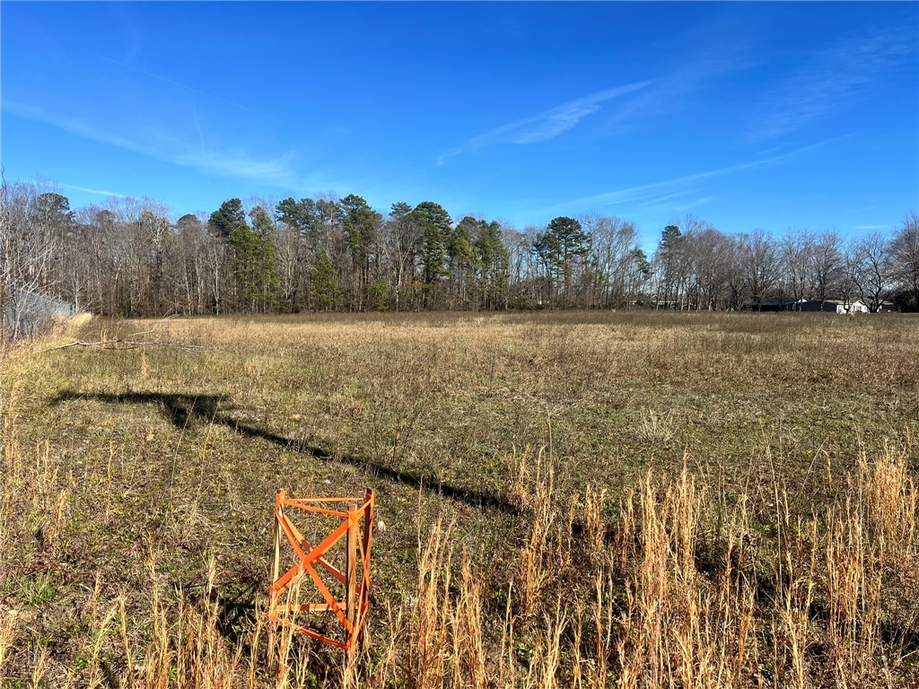 9901 Augusta Road Pelzer, SC 29669 - Photo 12 of 20