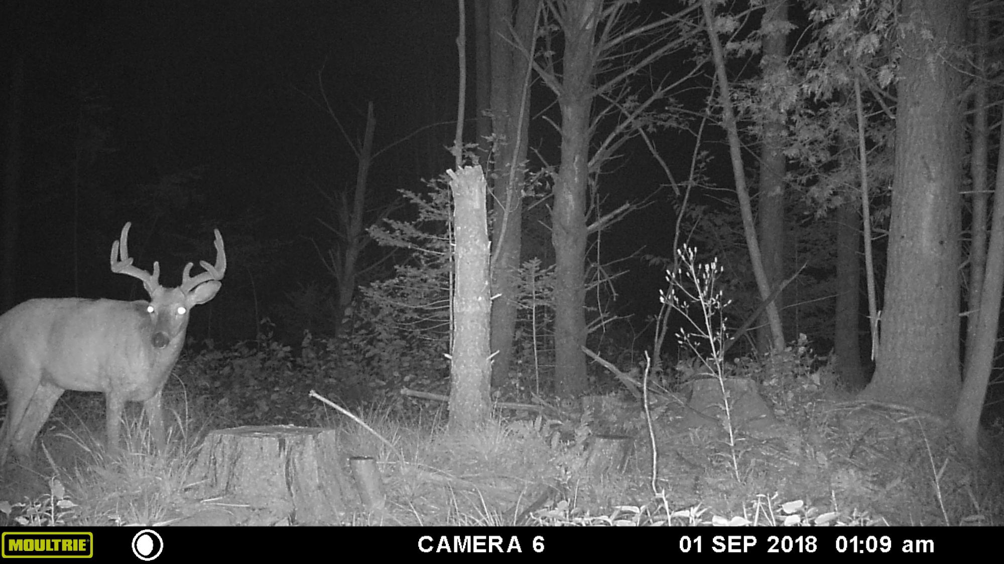 N9594 Cth D Bowler, WI 54416 - Photo 87 of 91 Gallery Image 87
