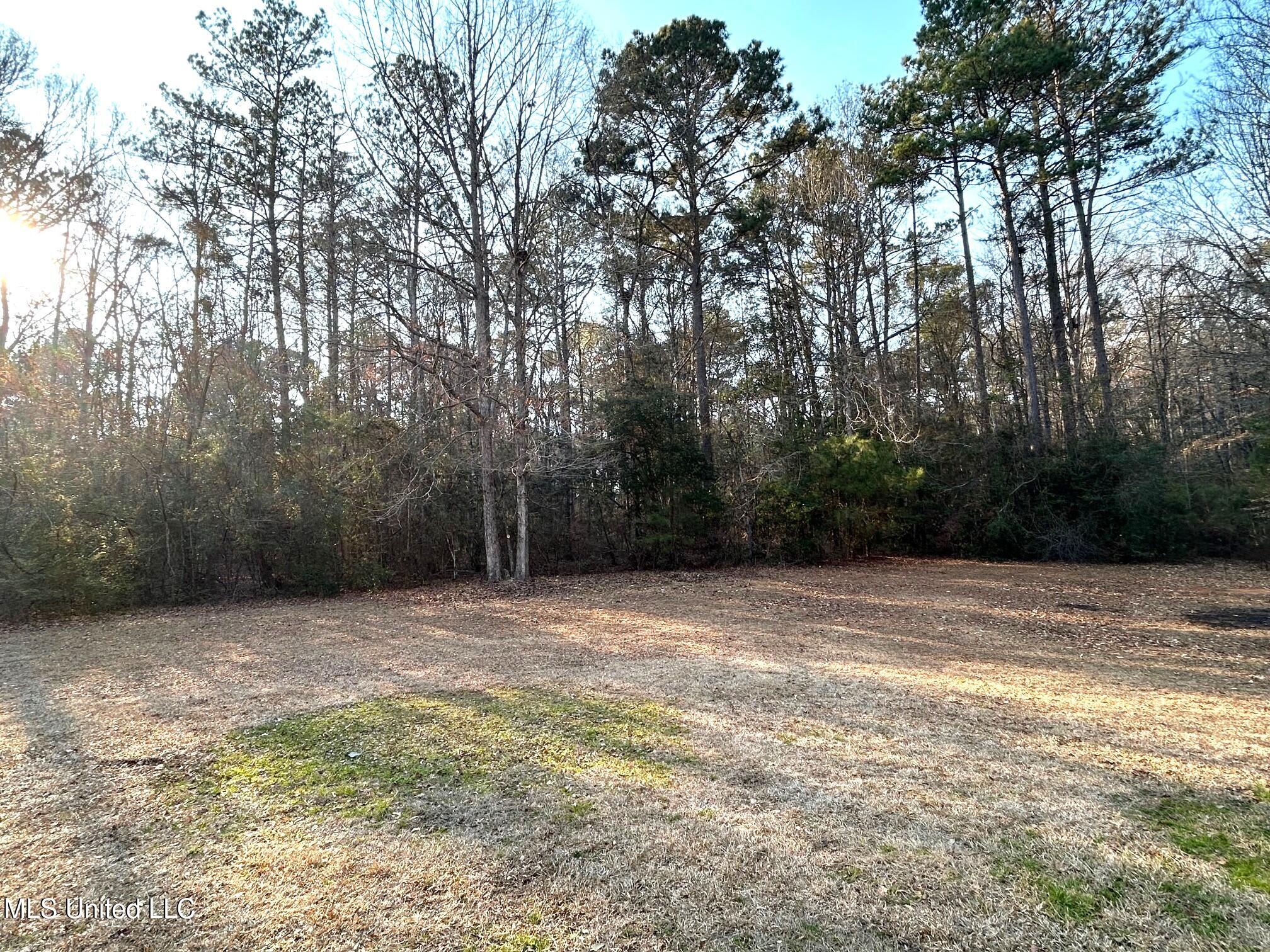 1025 Clover Lane McComb, MS 39648 - Photo 17 of 17 Back yard