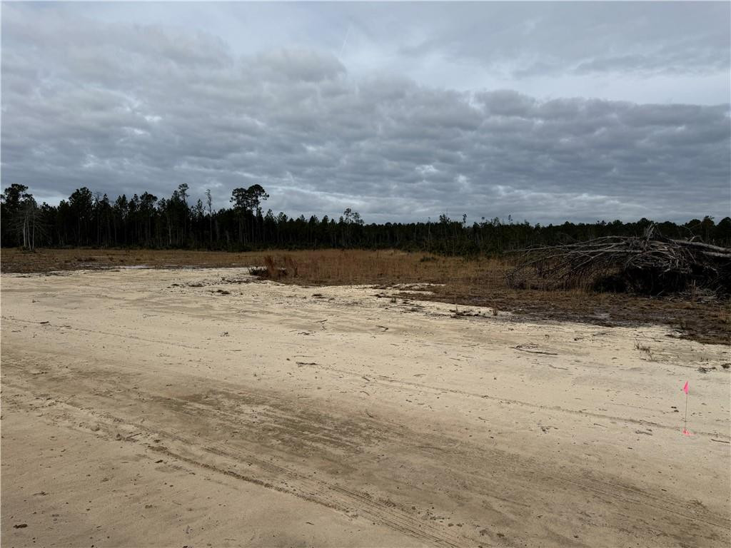 Lot 8 Wiregrass Lane, Unit 8 Waycross, GA 31503 - Photo 4 of 6 Photo 4