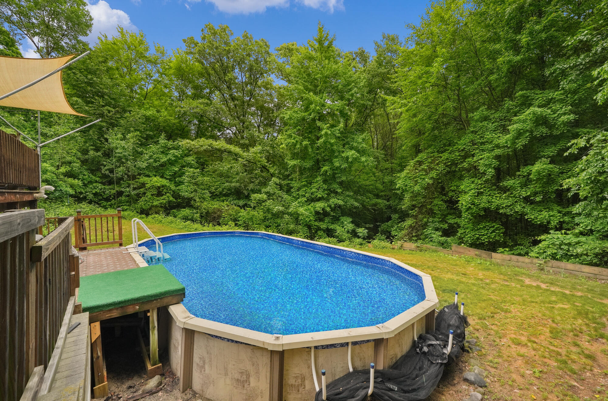 21537 Kendaville Road Pierson, MI 49339 - Photo 42 of 52 Back Yard & Pool