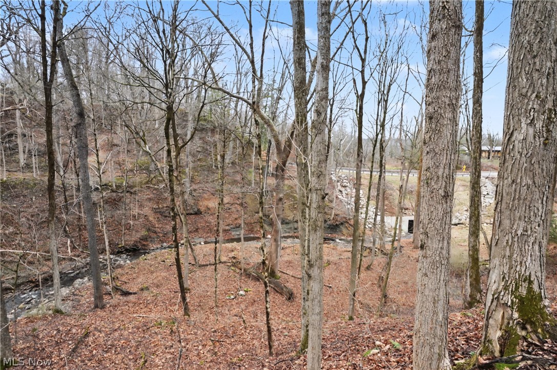 6196 Riverview Road Peninsula, OH 44264 - Photo 4 of 11
