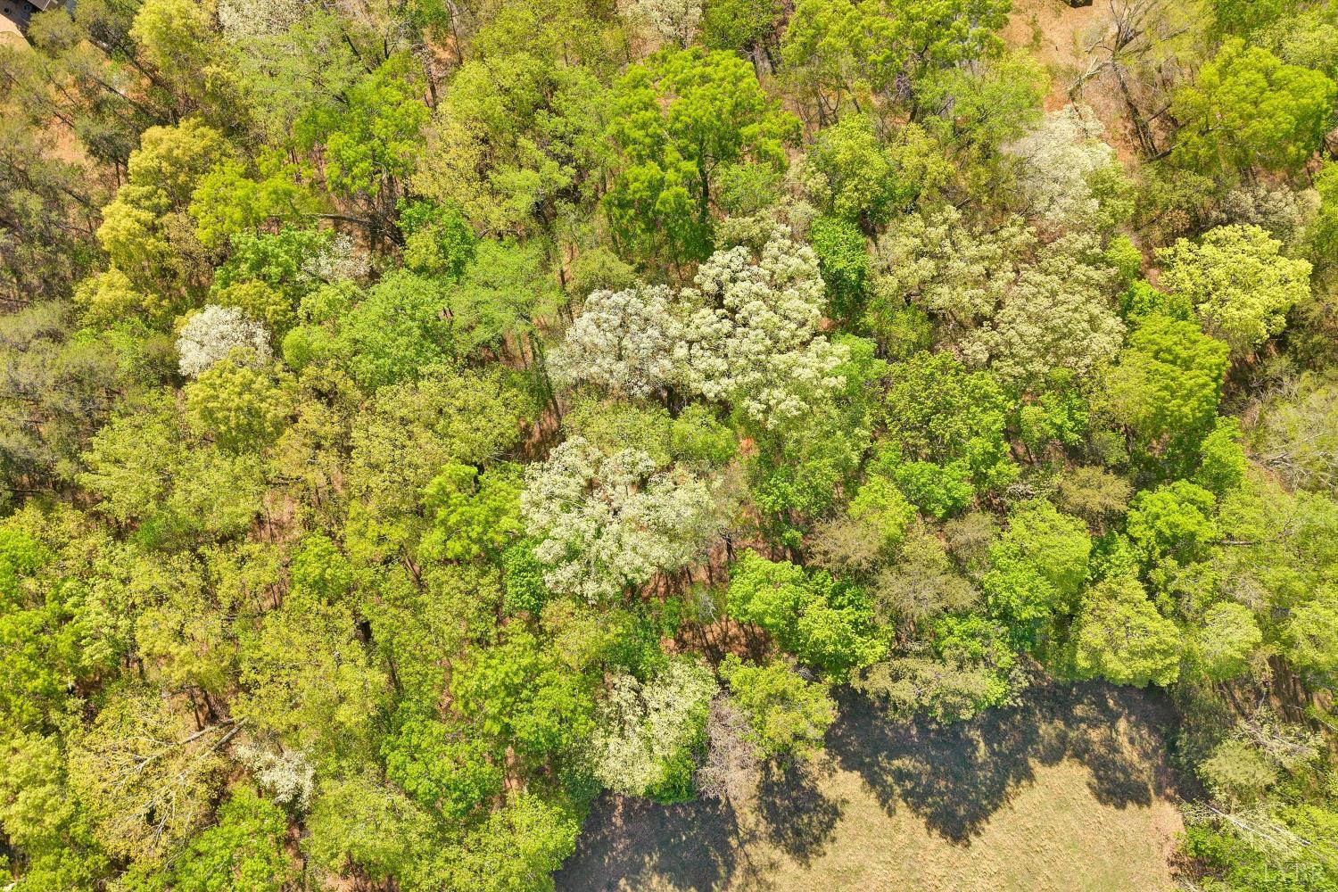 0 Old Barn Road Moneta, VA 24121 - Photo 3 of 26