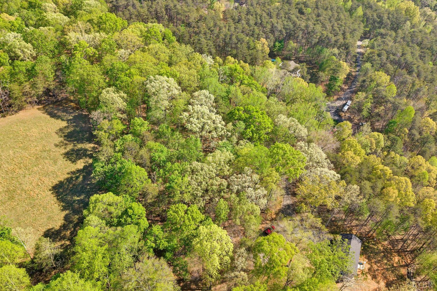 0 Old Barn Road Moneta, VA 24121 - Photo 5 of 26