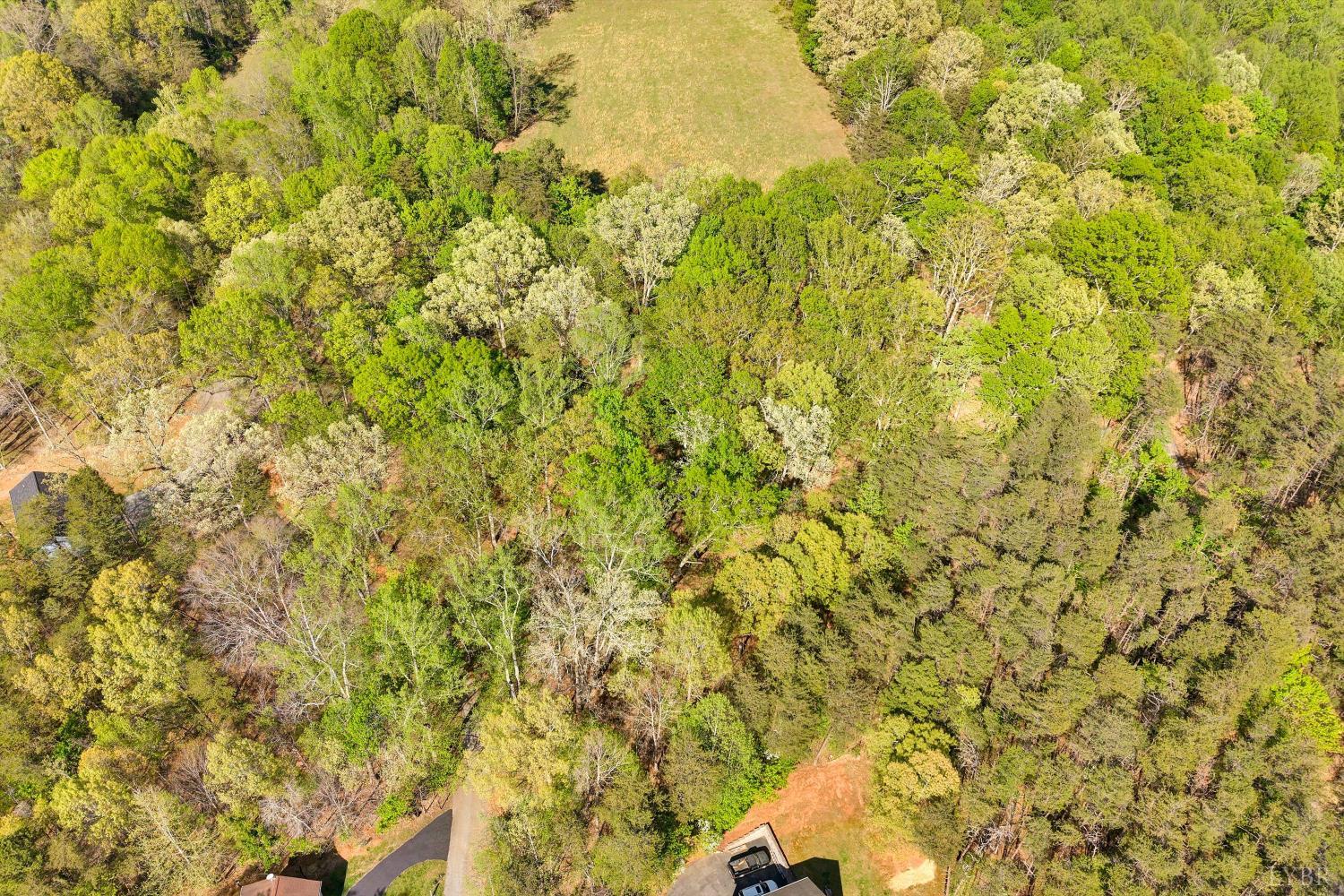 0 Old Barn Road Moneta, VA 24121 - Photo 7 of 26