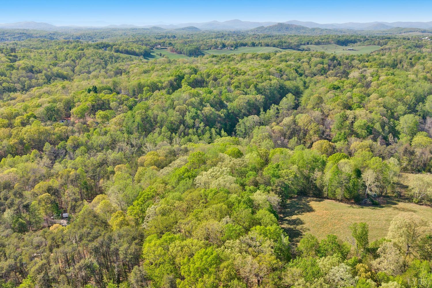 0 Old Barn Road Moneta, VA 24121 - Photo 8 of 26