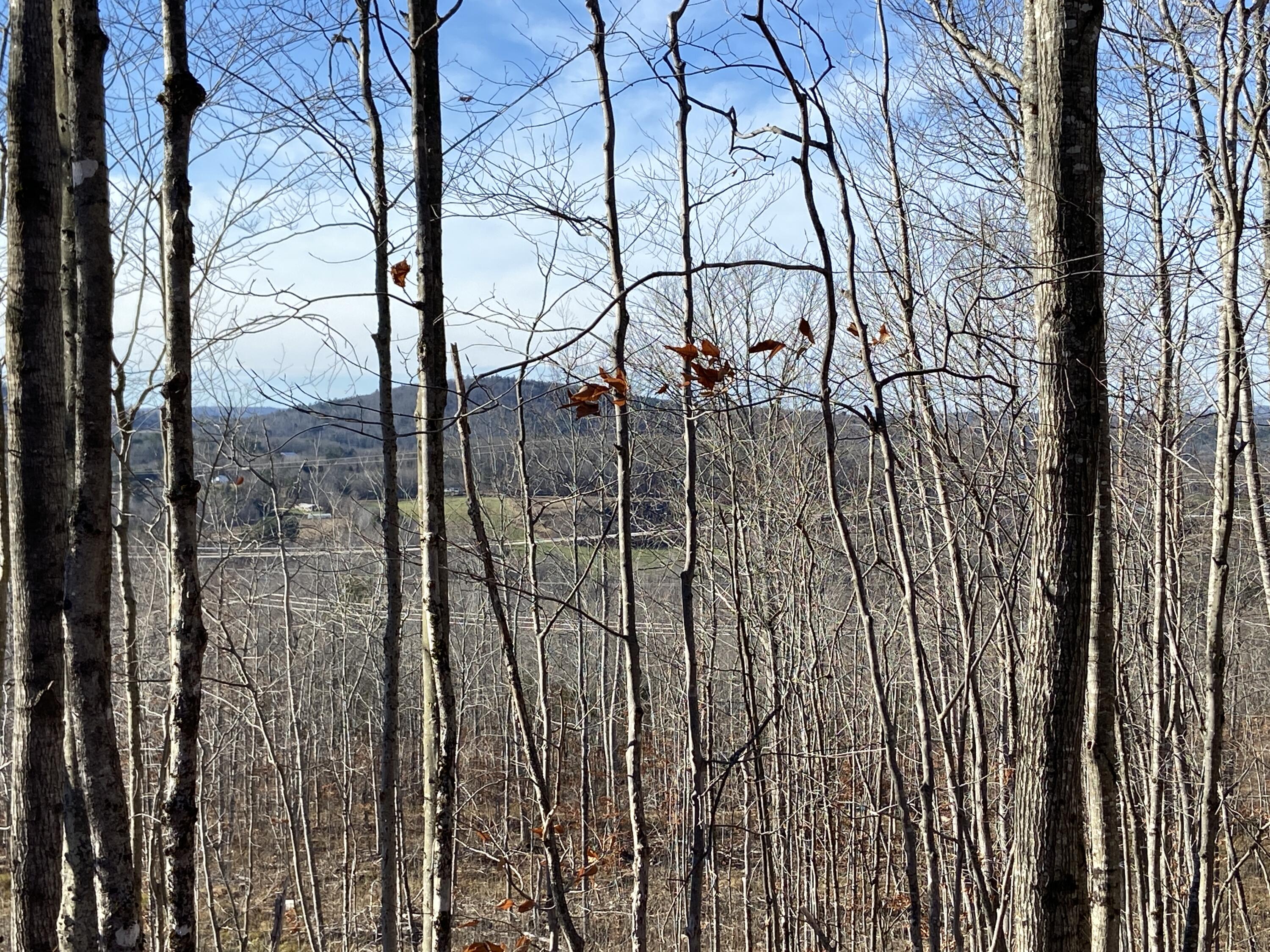 0 Chandler Road Monroe, ME 04951 - Photo 2 of 12 55B33751-CAD7-4300-9BCA-84793D4940E7