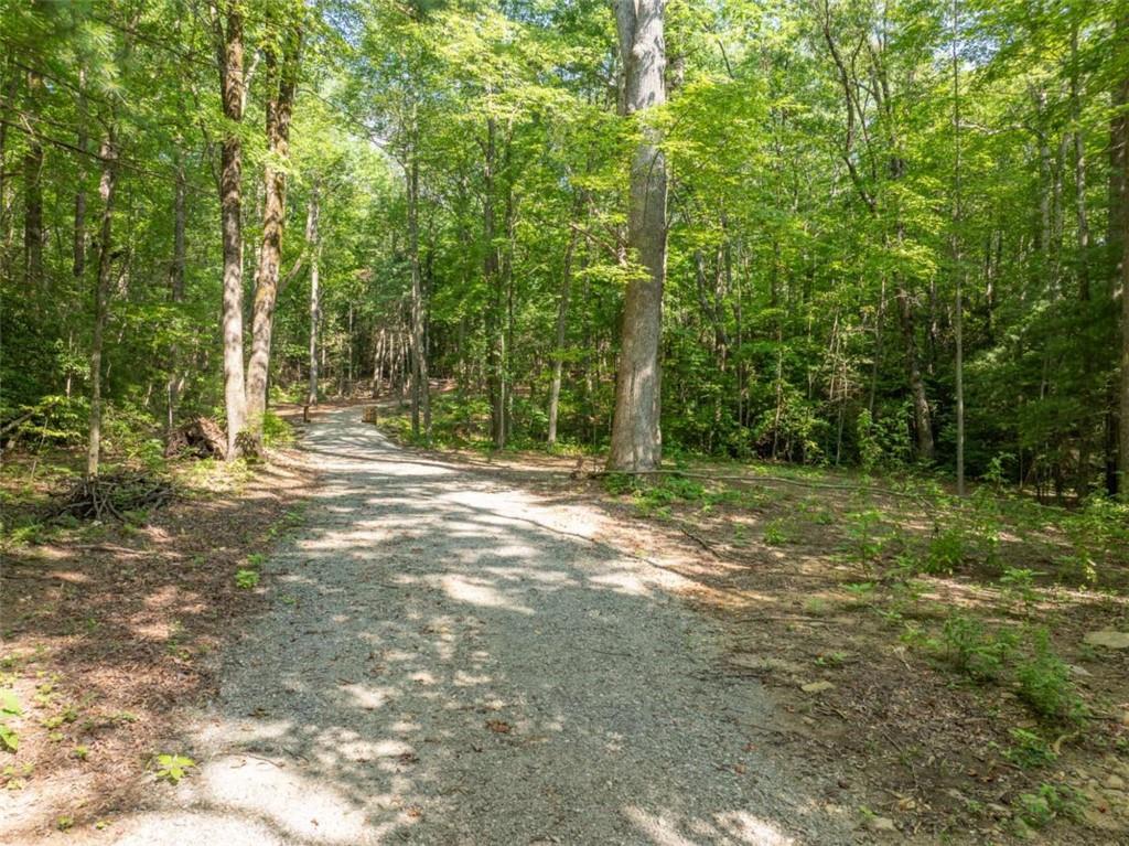 1298 Cold Stream Trail Jasper, GA 30143 - Photo 13 of 57
