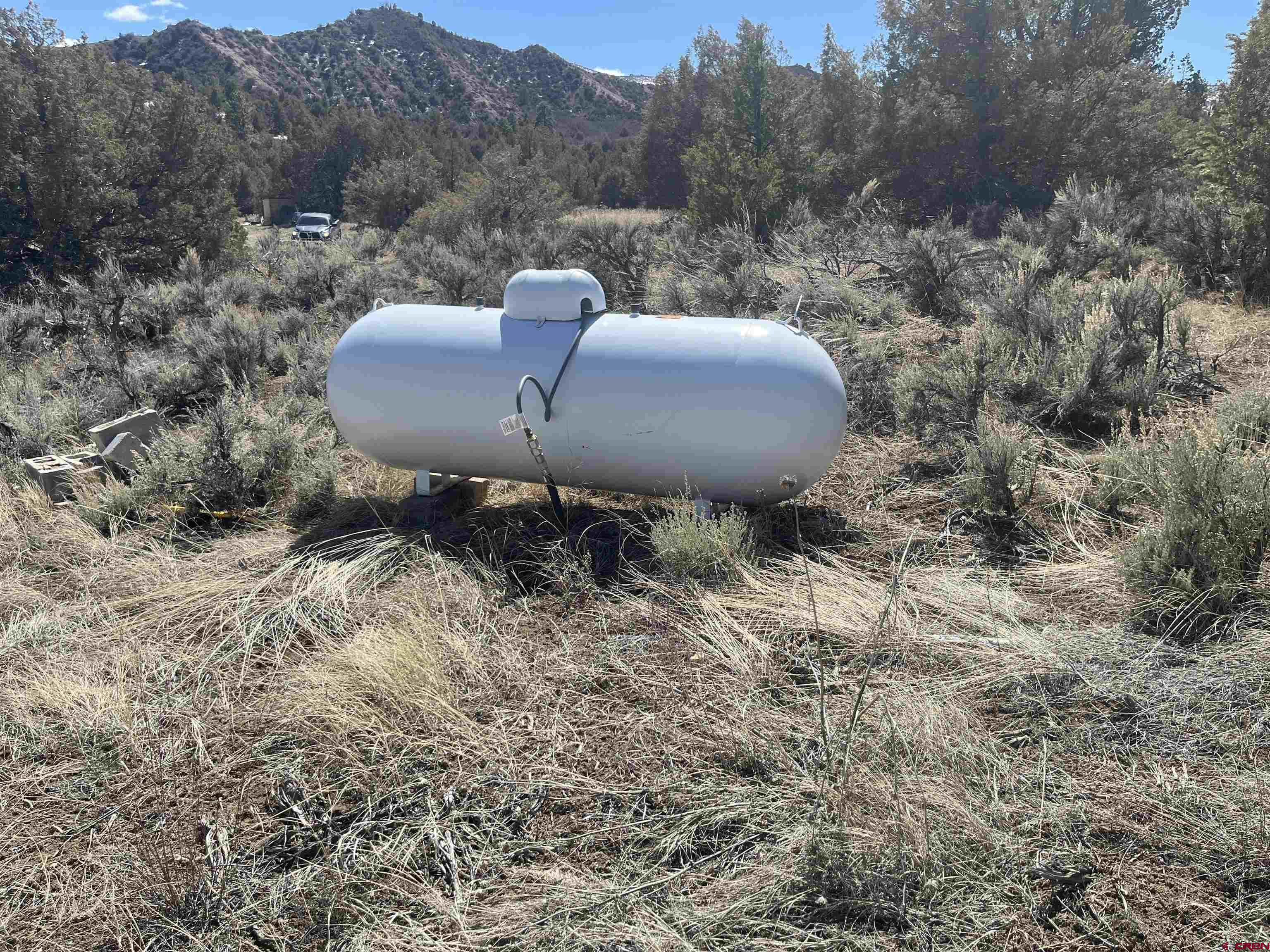 203 Lion Road Durango, CO 81303 - Photo 14 of 22 a view of a couches in a dry yard