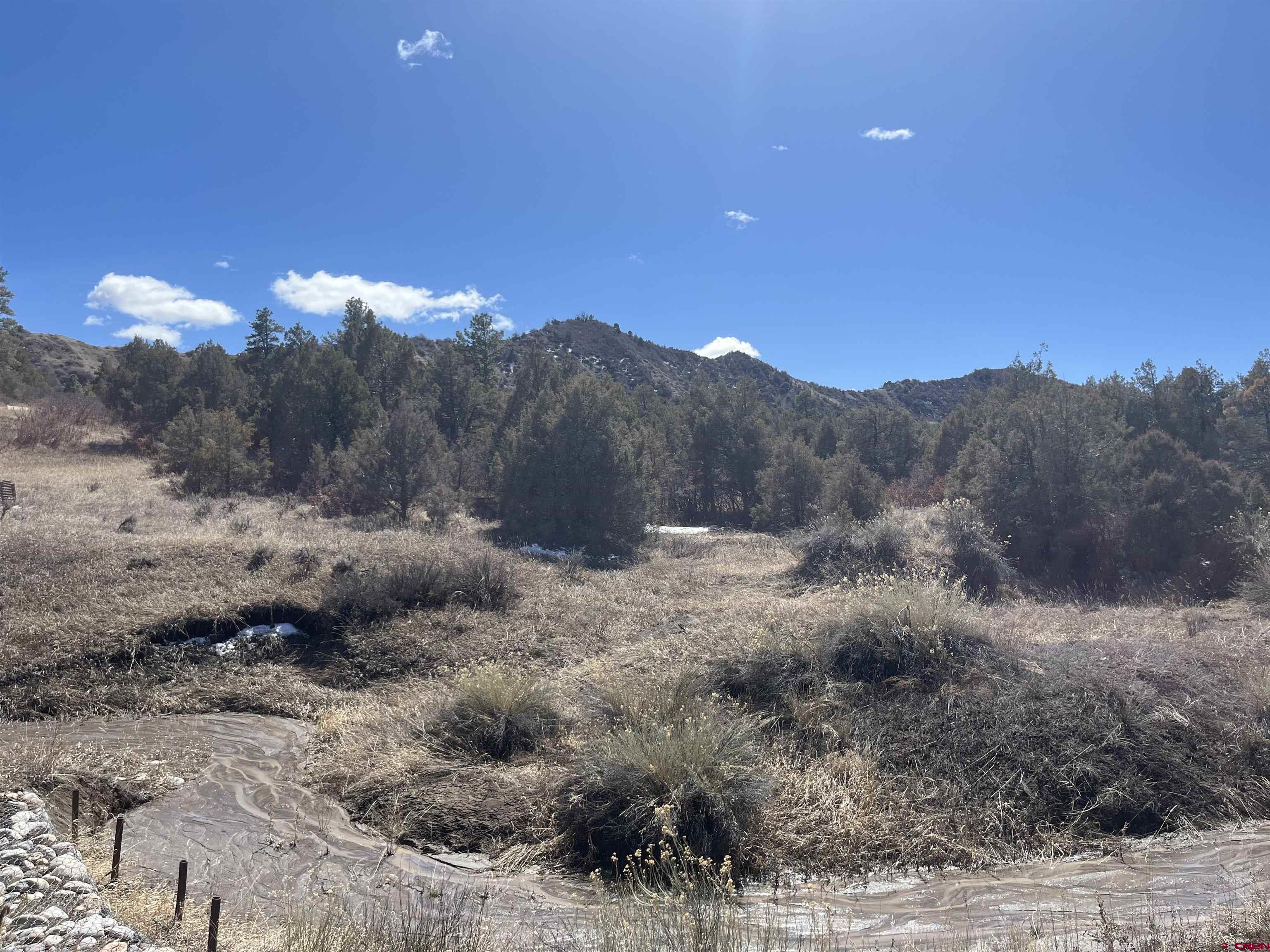 203 Lion Road Durango, CO 81303 - Photo 15 of 22 a view of a dry yard