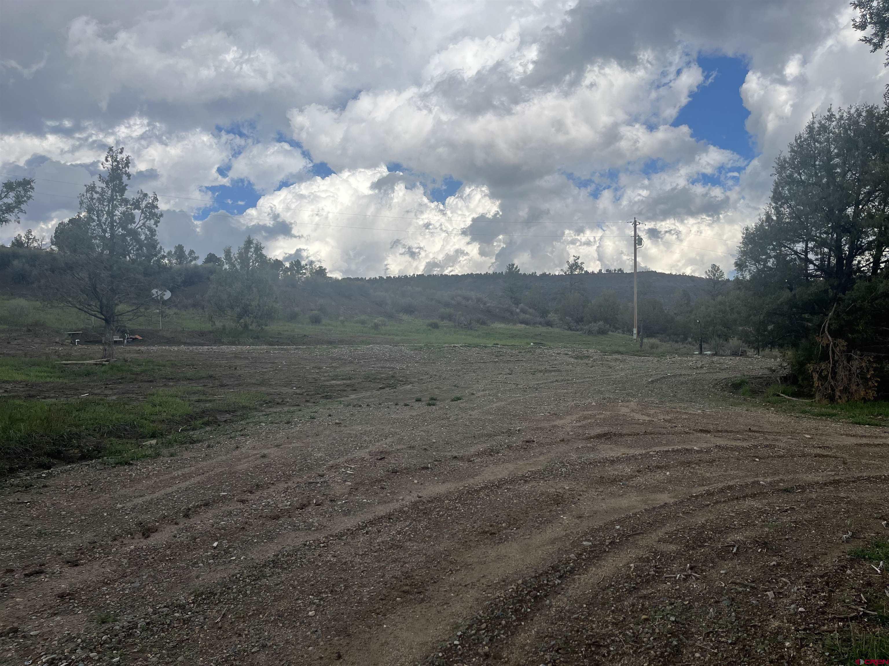 203 Lion Road Durango, CO 81303 - Photo 6 of 22 a view of a yard with large trees