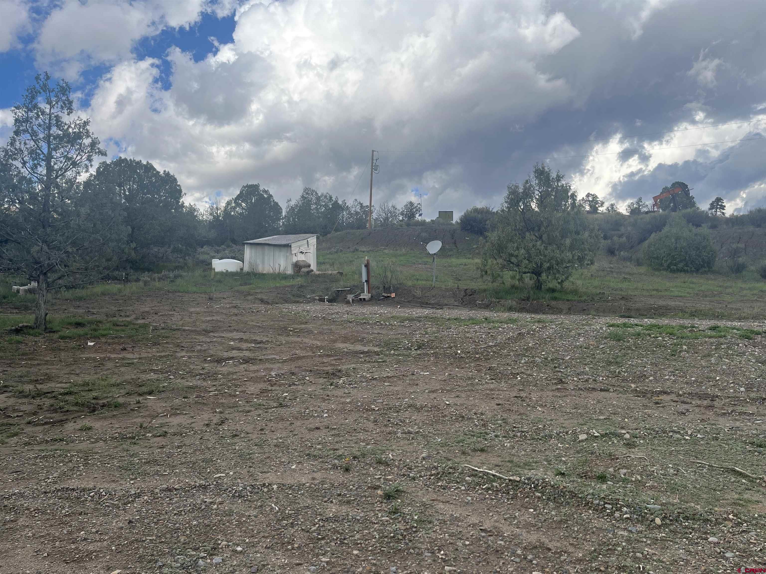 203 Lion Road Durango, CO 81303 - Photo 7 of 22 a view of a dry yard