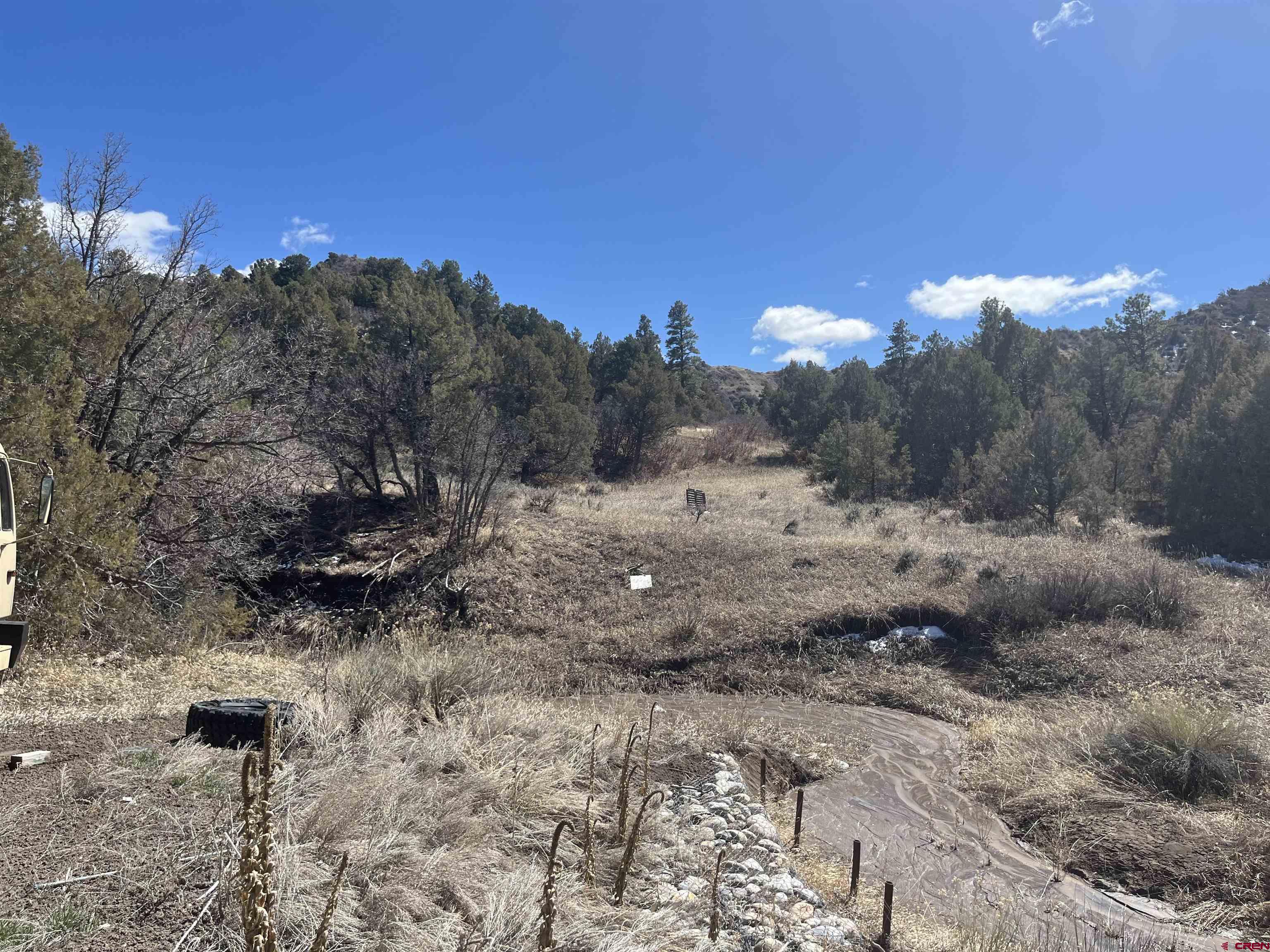 203 Lion Road Durango, CO 81303 - Photo 8 of 22 a view of a dry yard with trees