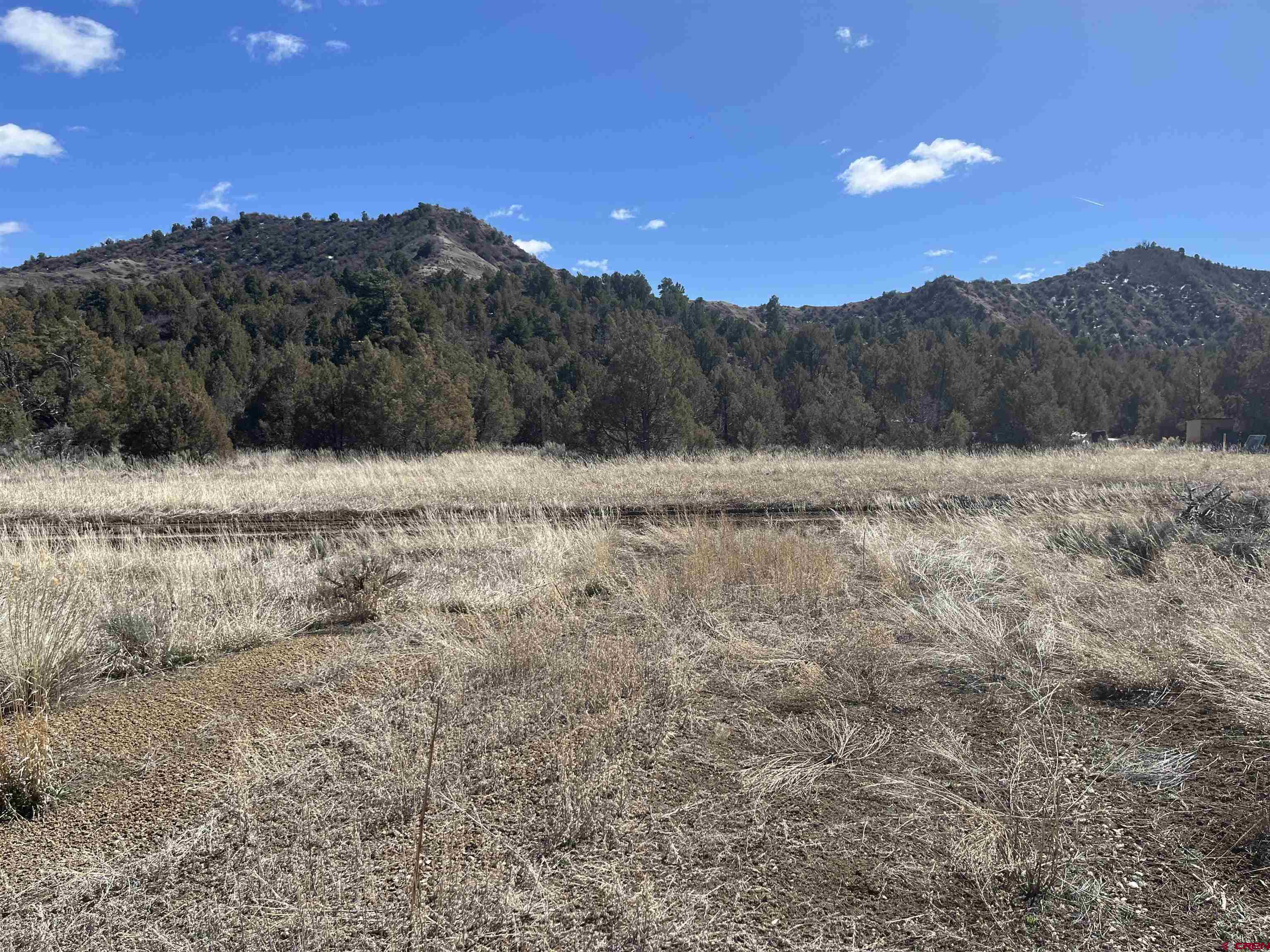 203 Lion Road Durango, CO 81303 - Photo 9 of 22 a view of a yard with a mountain