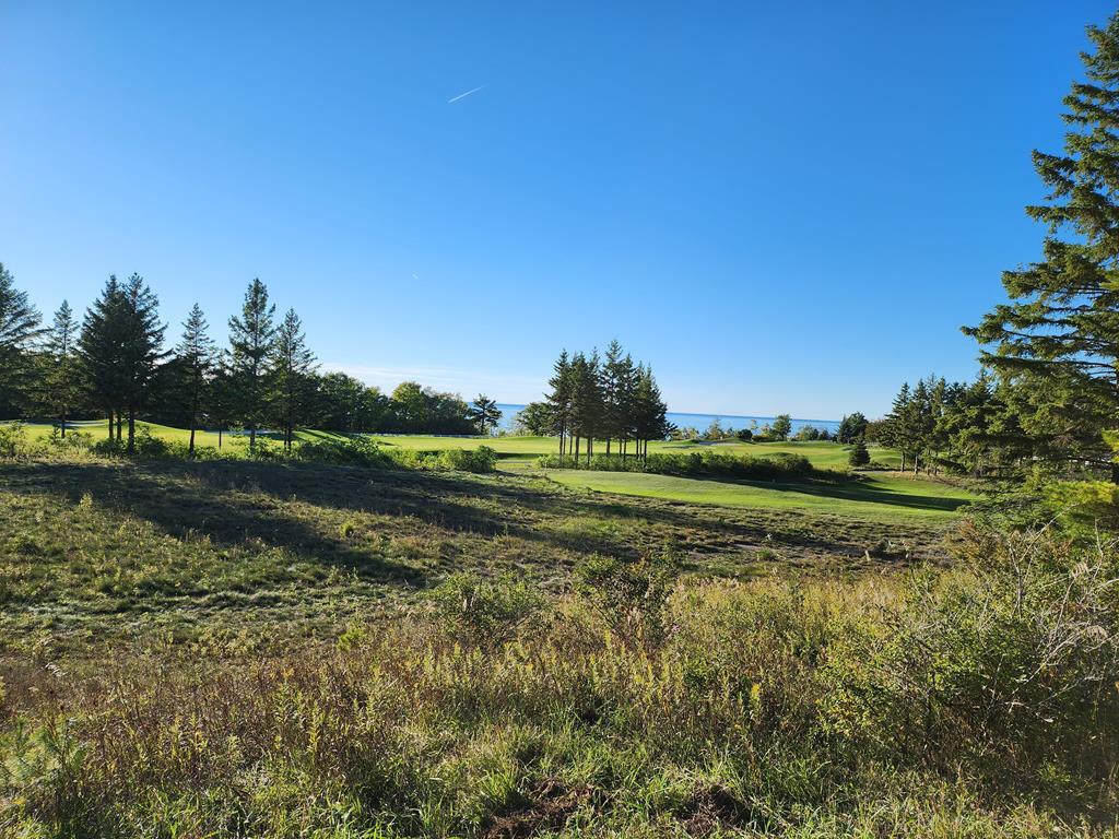 Lot 3 North Cobblestone Road Egg Harbor, WI 54209 - Photo 3 of 8
