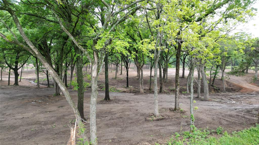 410 W Arkansas Road Sadler, TX 76264 - Photo 6 of 6 a backyard of a house with lots of trees