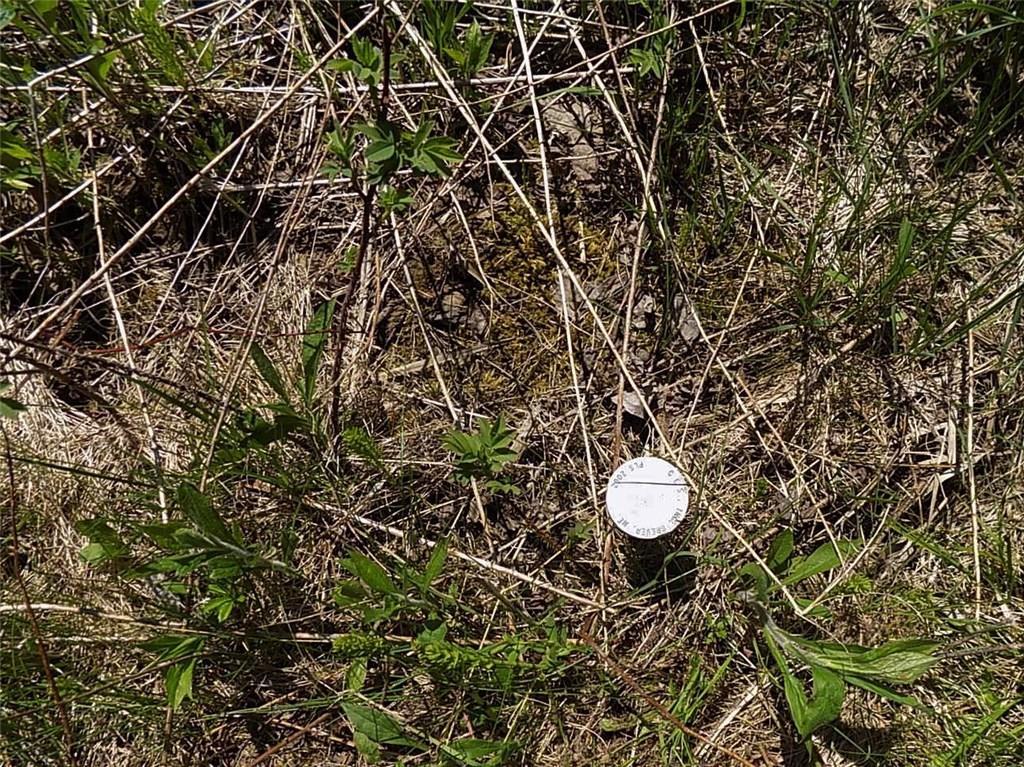 Lot 80 Lyons Road Lubec, ME 04652 - Photo 24 of 29 Close up of the right road side pin