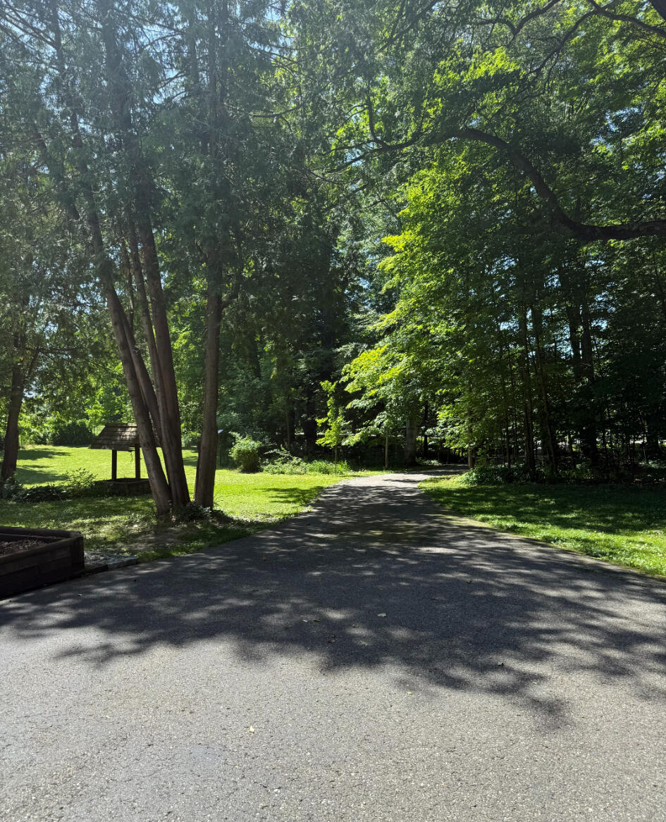 3628 Rau Road West Branch, MI 48661 - Photo 102 of 113 Driveway