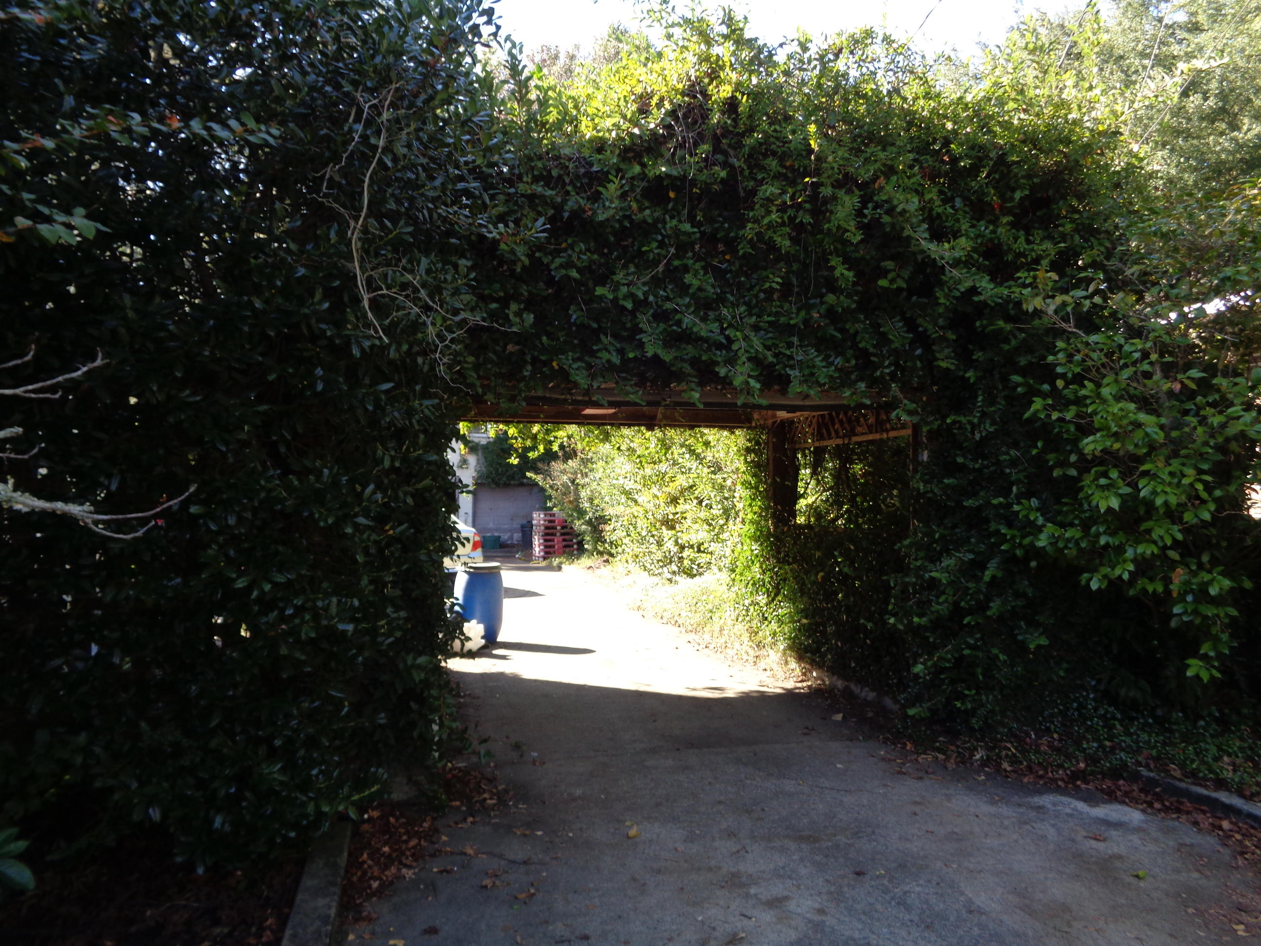 114 Folly Rd Boulevard Charleston, SC 29407 - Photo 39 of 49 056