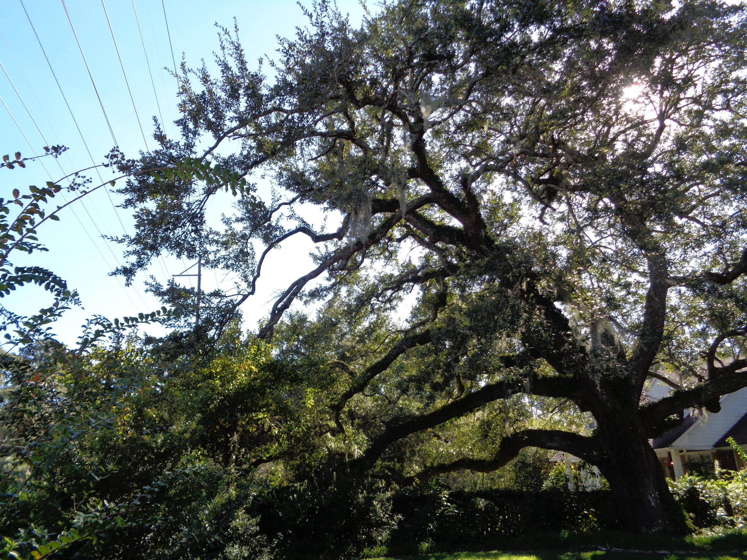 114 Folly Rd Boulevard Charleston, SC 29407 - Photo 42 of 49 059