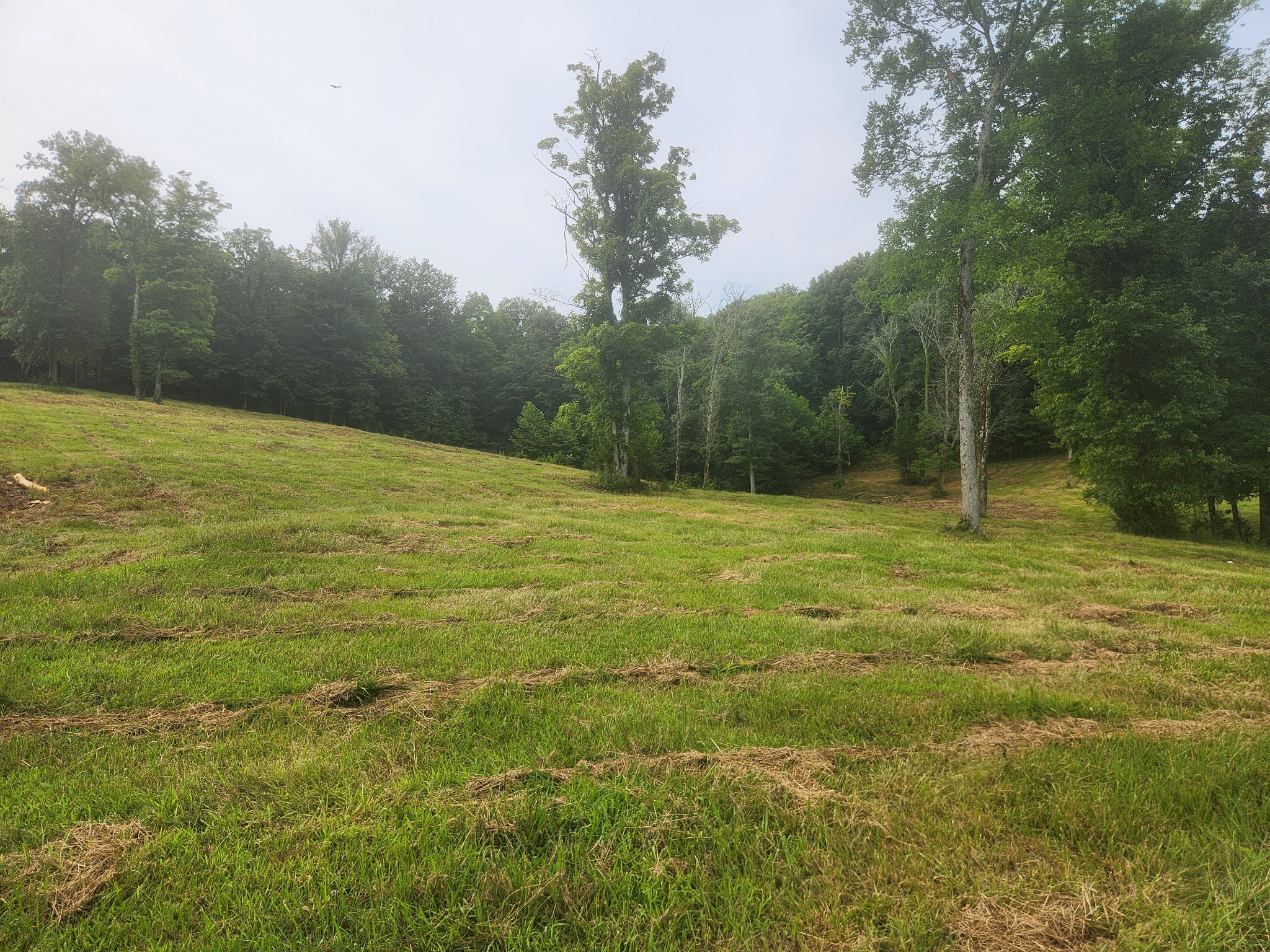 0 Barrett Road Watertown, TN 37184 - Photo 30 of 40 Gallery Image 30