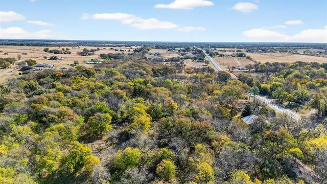 a view of a yard with large trees