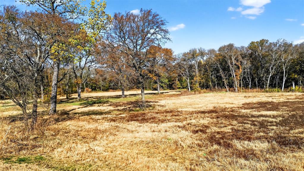 Tbd East Bells Boulevard Bells, TX 75414 - Photo 15 of 22 a view of outdoor space with trees