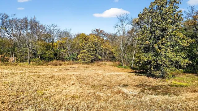 a view of outdoor space with trees
