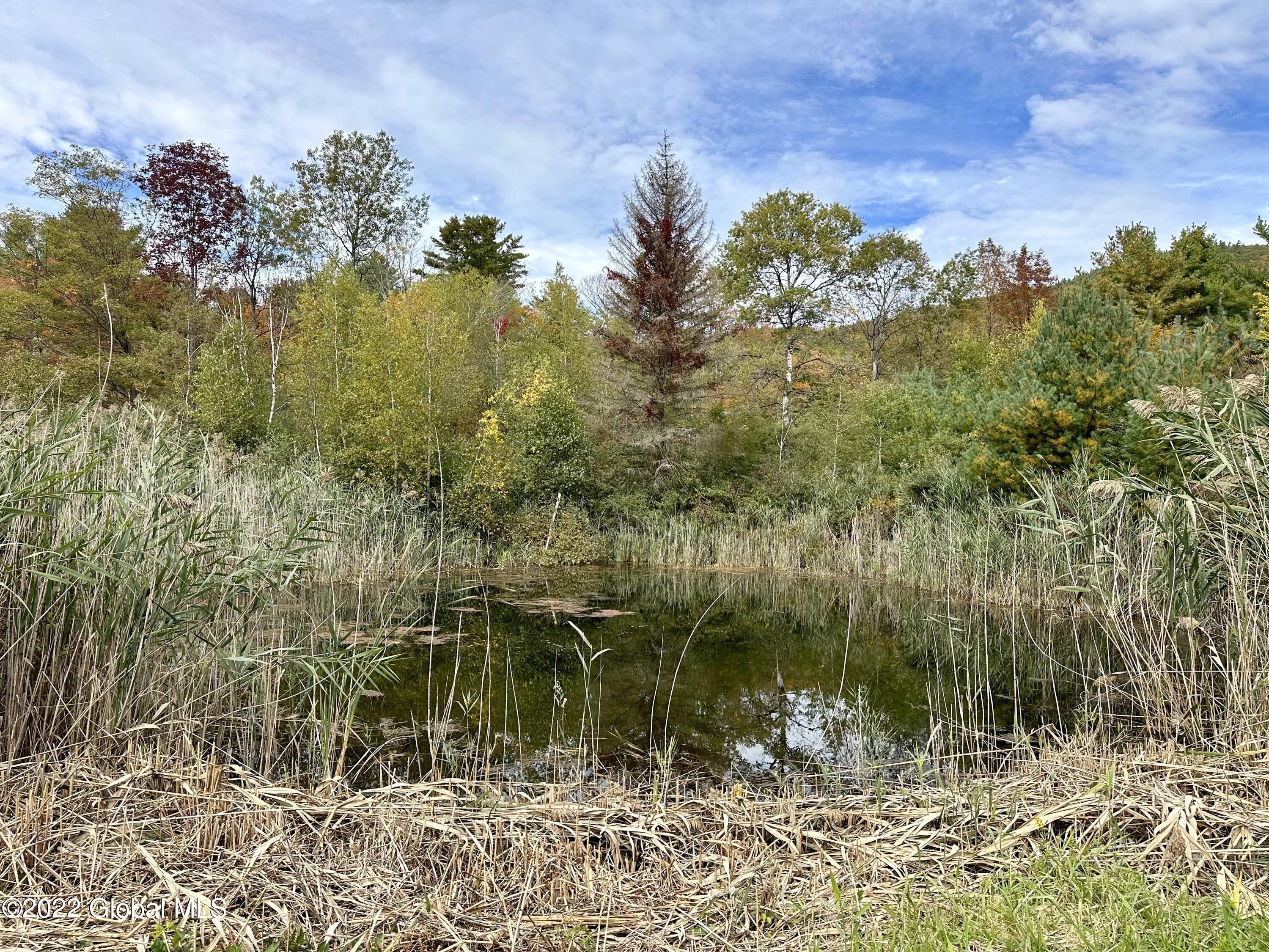 148 West Hague Road Hague, NY 12836 - Photo 28 of 31 pond view