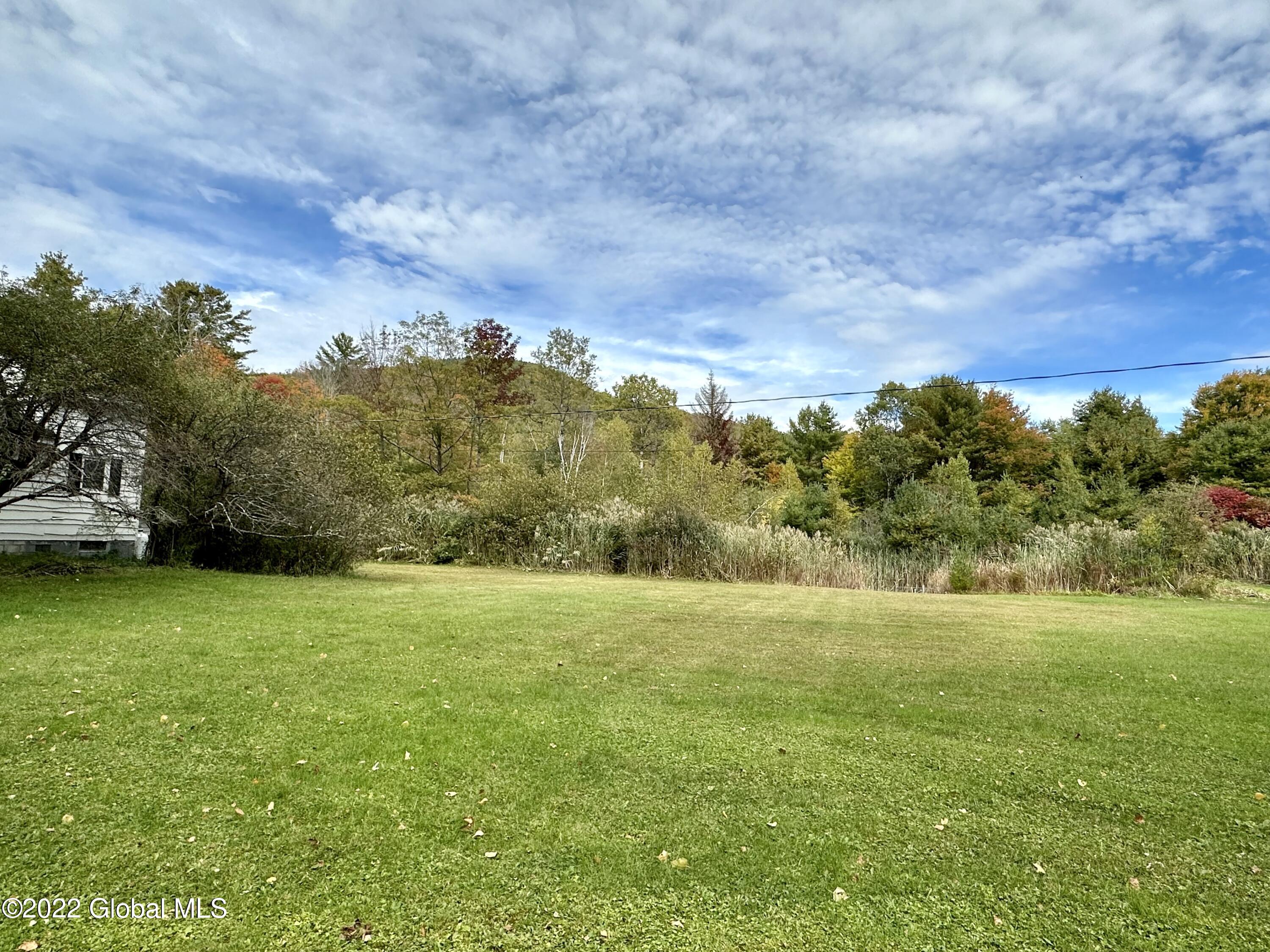 148 West Hague Road Hague, NY 12836 - Photo 29 of 31 back yard