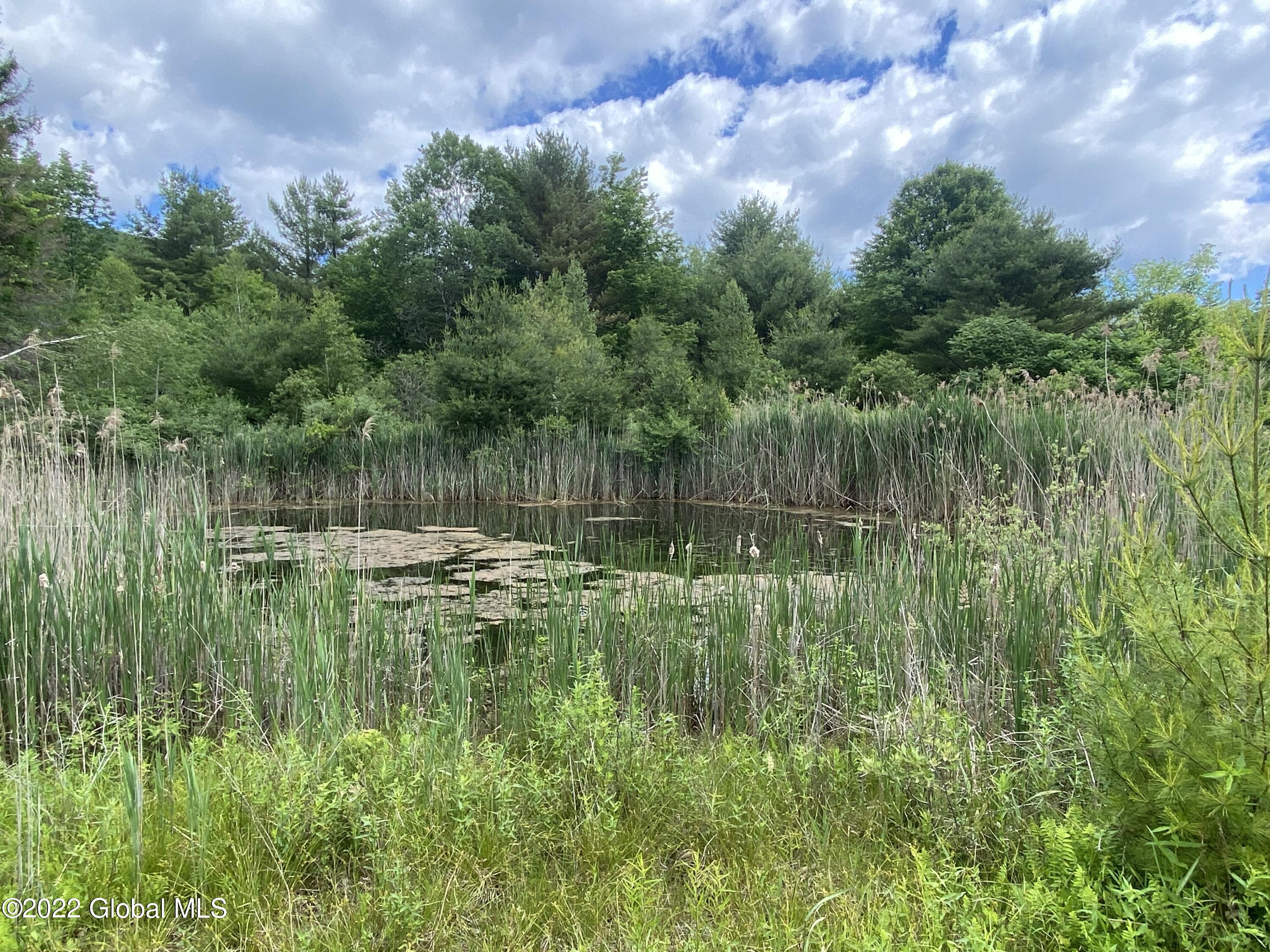 148 West Hague Road Hague, NY 12836 - Photo 3 of 31 pond