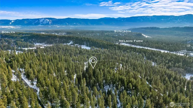 a view of a lake with a mountain