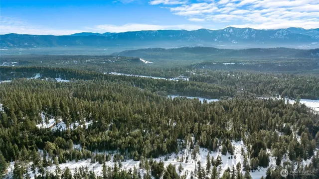 a view of a city with lush green forest and mountains