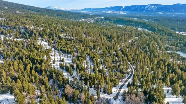 a view of a city with lush green forest and mountains
