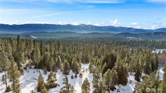 a view of a city with trees