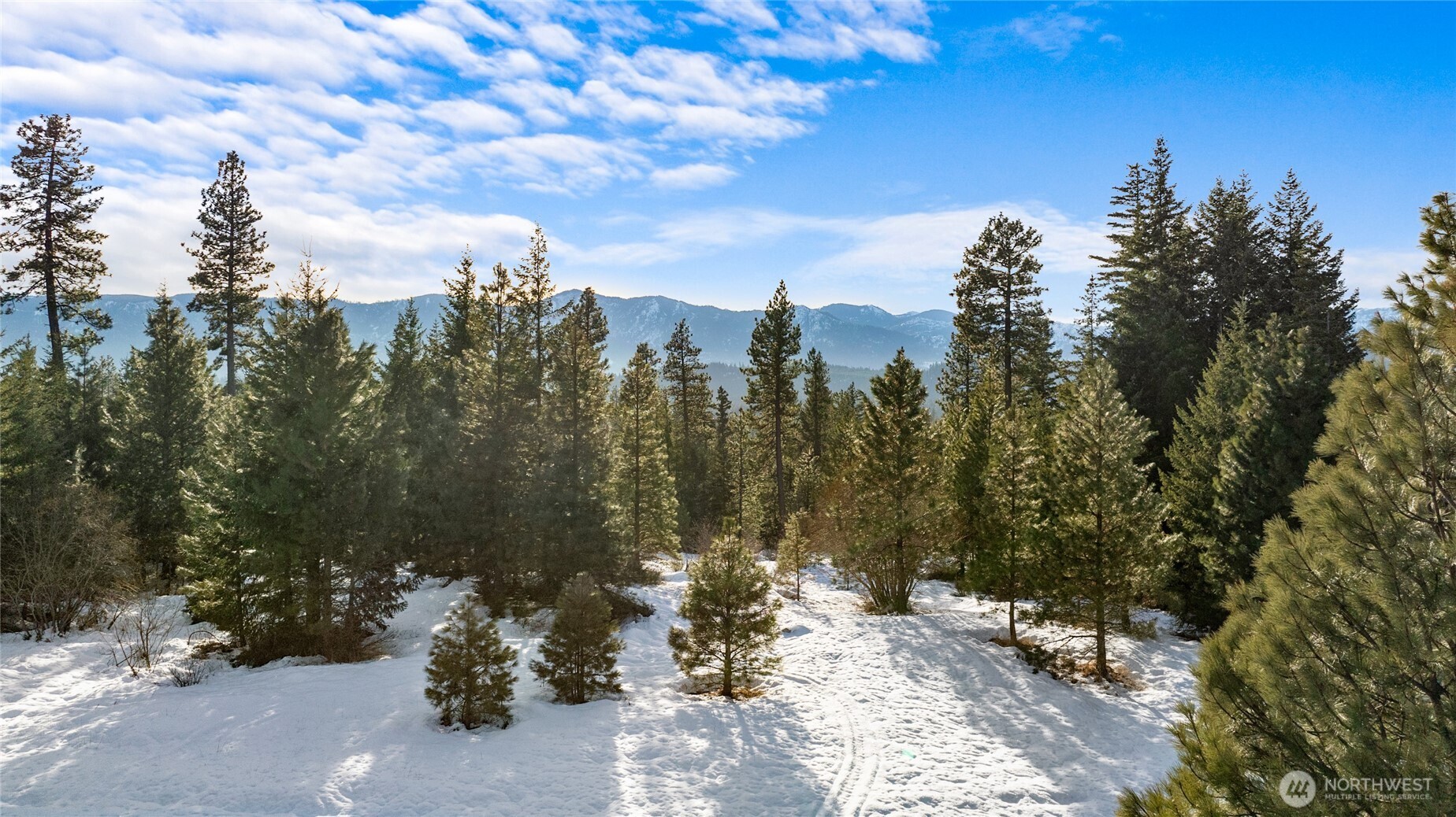 -xxx Mountain Ridge Road Roslyn, WA 98941 - Photo 19 of 23
