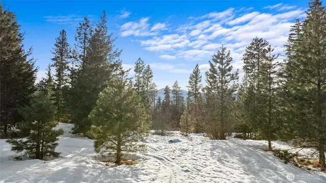a view of a city with lush green forest