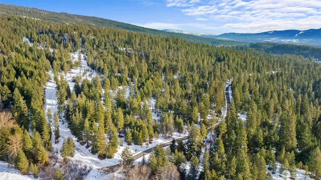 a view of a green field with lots of bushes