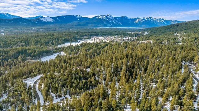 a view of a lush green forest with lots of trees