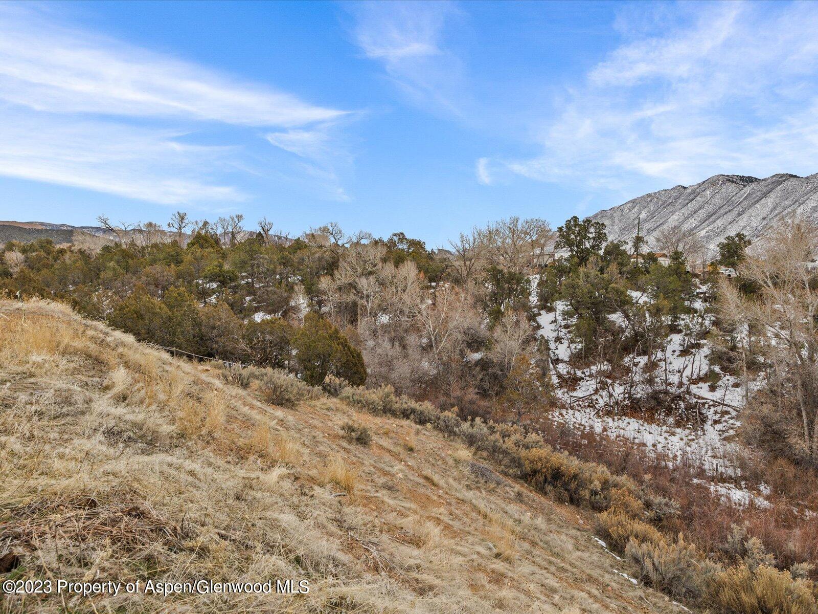 393 Faas Ranch Road New Castle, CO 81647 - Photo 8 of 10 a view of a large tree with mountains in the background