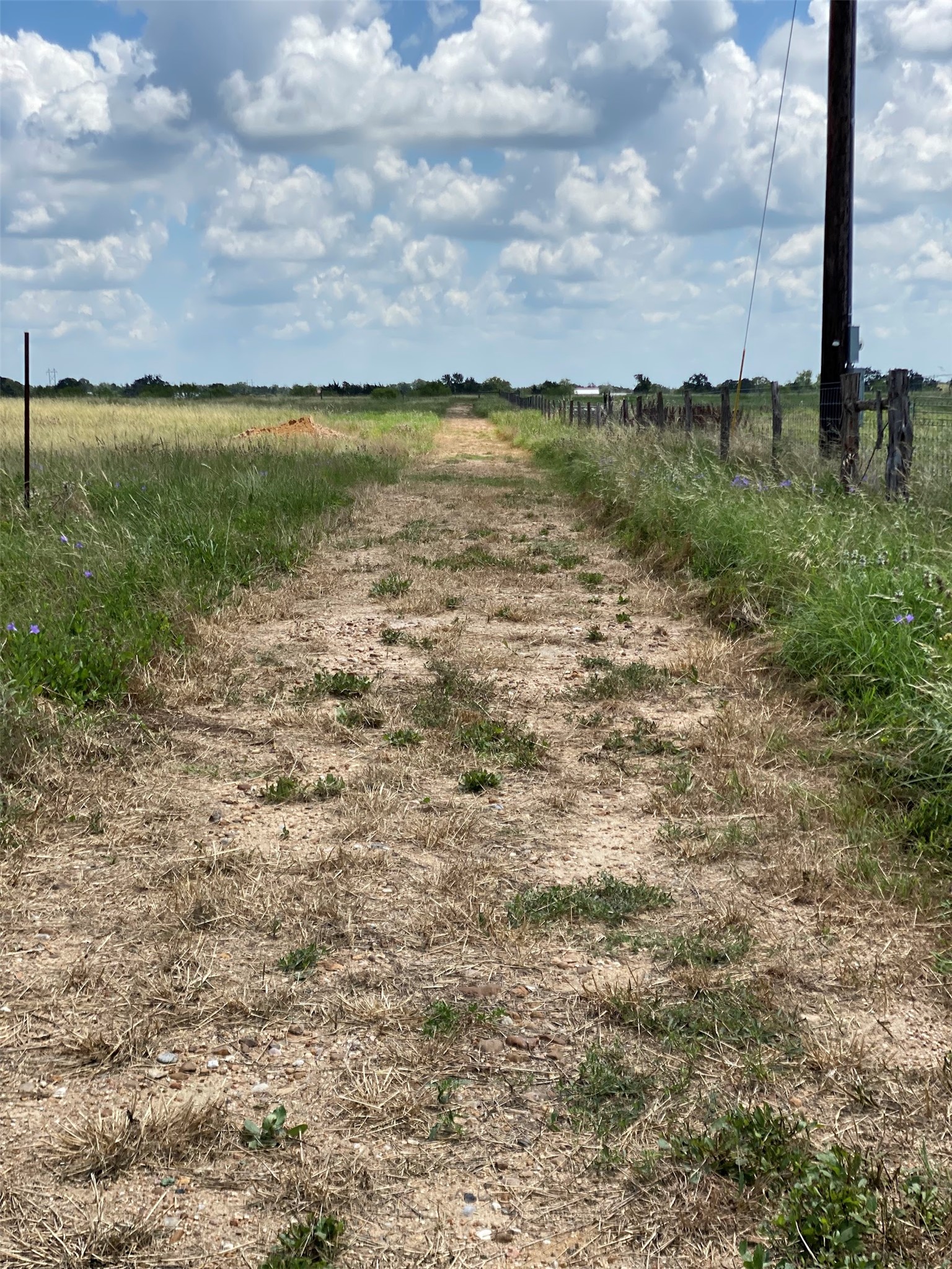 7188 Goehring Road Ledbetter, TX 78946 - Photo 8 of 14 Path along east fence line towards lot 3/4.