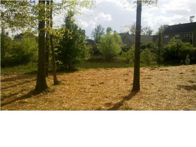 8288 Graham Road Chattanooga, TN 37421 - Photo 7 of 7 Additional Photo